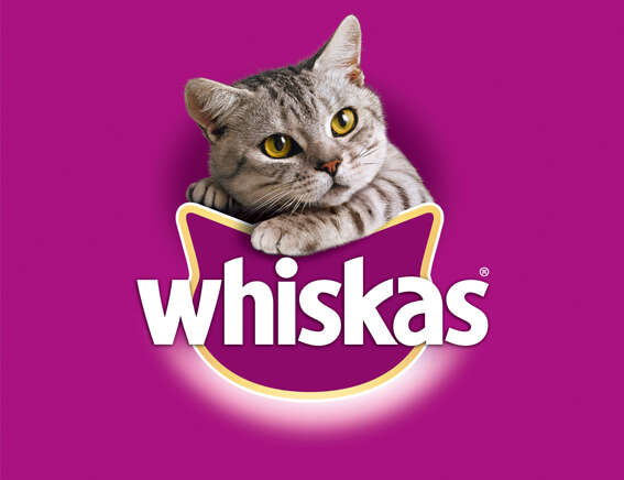 whiskas Katzenleckerli Knuspertaschen mit Lachs